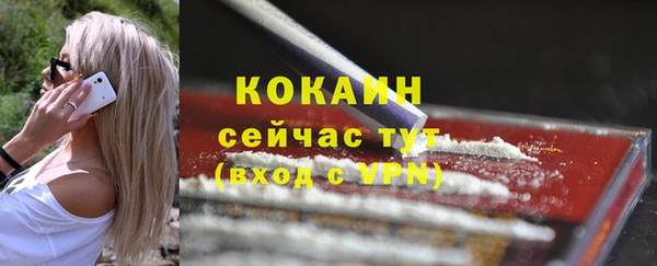 индика Новодвинск