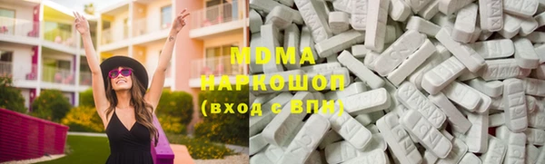 индика Новодвинск