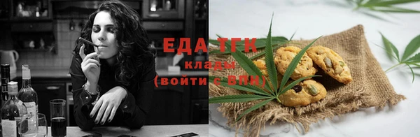 индика Новодвинск