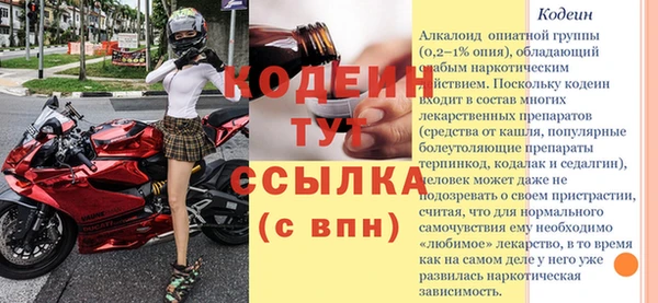 амф Новозыбков