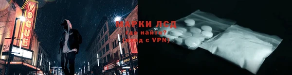 амф Новозыбков
