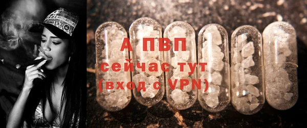 ГАЛЛЮЦИНОГЕННЫЕ ГРИБЫ Новокубанск