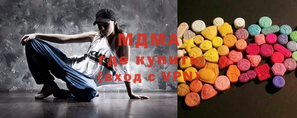 индика Новодвинск