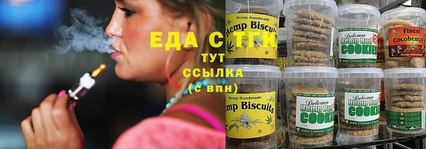 амф Новозыбков