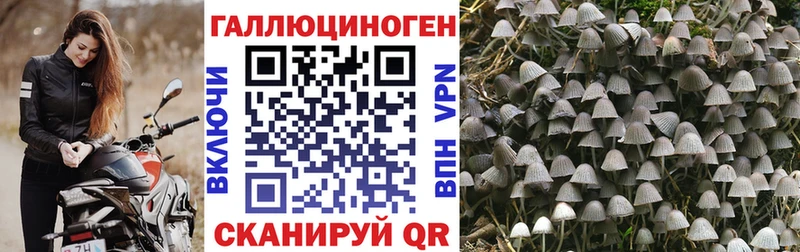 Галлюциногенные грибы прущие грибы blacksprut ONION Шагонар закладка